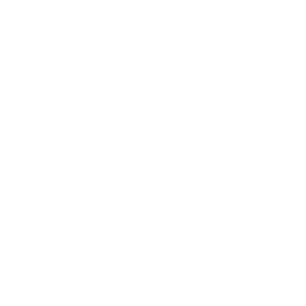 Logo firmy WEBS